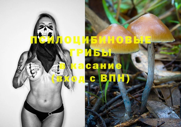 герыч Вязьма