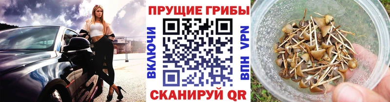 Псилоцибиновые грибы прущие грибы  МЕГА как войти  Химки 