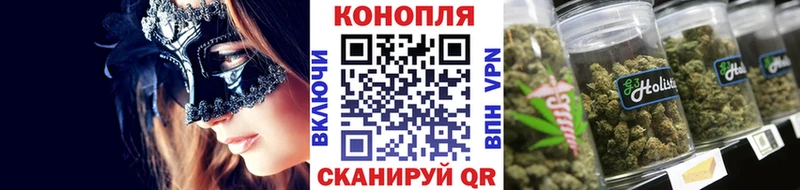 Шишки марихуана гибрид  Химки 